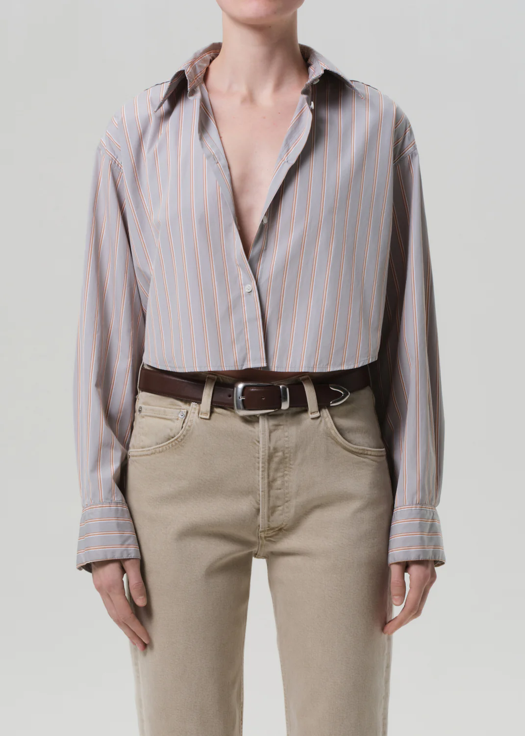 Ana Cropped Shirt in Noble Stripe