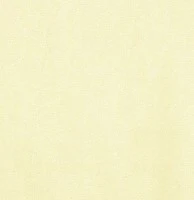 Gage Slim Straight Cashmere Touch Sateen in Yellow - Image 2