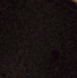 Kayla Shirt in Brown - Image 6